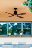 Winche - FARO - 33481