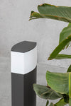 Datna 600 - FARO - 74442