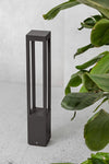 Agra 650 - FARO - 70753