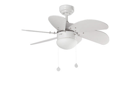 Palao - FARO - 33180