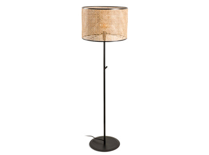 Mambo - FARO - 64313-49