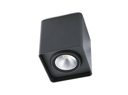 Tami - FARO - 70799